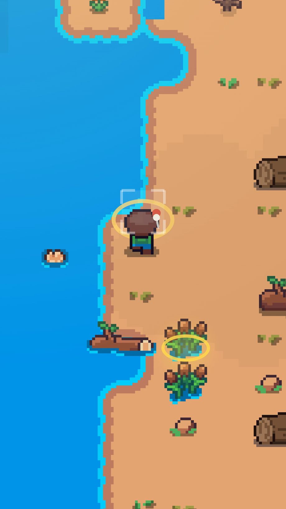 Go fishing. There are 25 kinds of fish