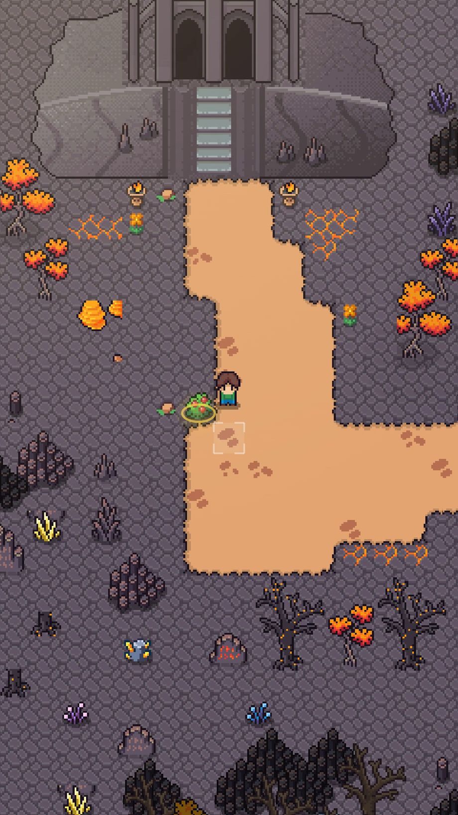 From quiet woods to a volcano